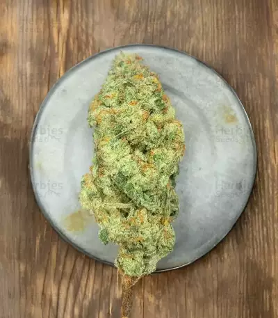 Pineapple Runtz Auto feminisierte Samen (Ethos Genetics)