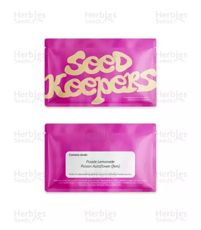 Purple Lemonade Poison Autoflower feminisierte Samen (Seedkeepers)