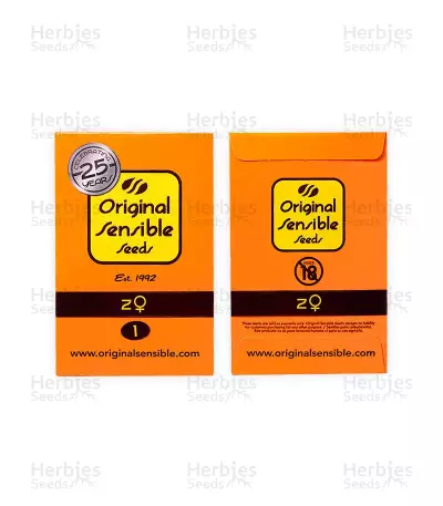 Z (Original Sensible Seeds) Cannabis-Samen