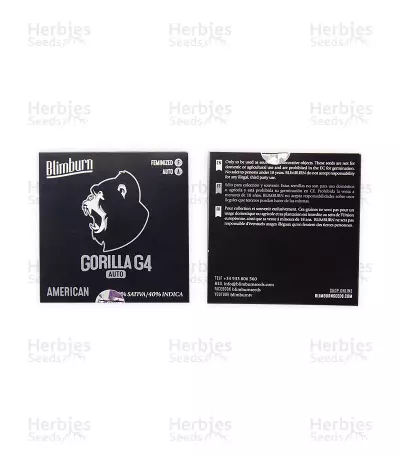 Gorilla G4 Auto (BlimBurn Seeds) Cannabis-Samen
