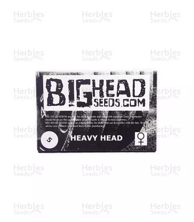 Heavy Head (Big Head Seeds) Cannabis-Samen
