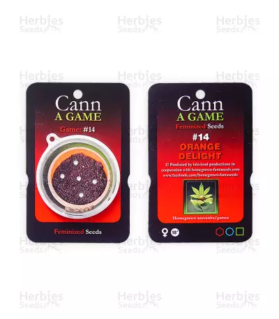 Orange Delight (Homegrown Fantaseeds) Cannabis-Samen