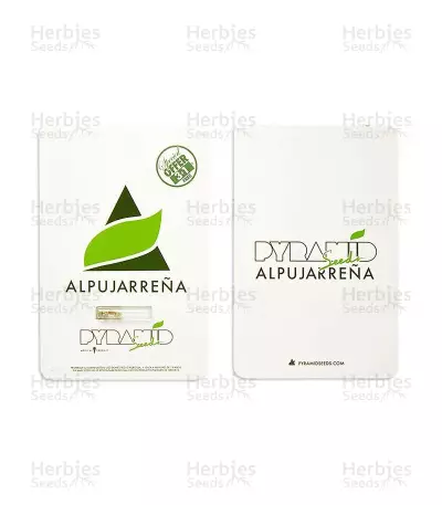 Alpujarrena (Pyramid Seeds) Cannabis-Samen