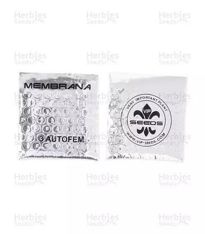 Membrana Hiper Auto (VIP seeds) Cannabis-Samen