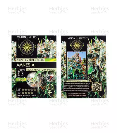 Amnesia (Vision Seeds) Cannabis-Samen