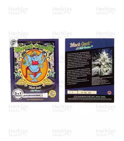 Black Jack F1 Fast Version (Sweet Seeds) Cannabis-Samen