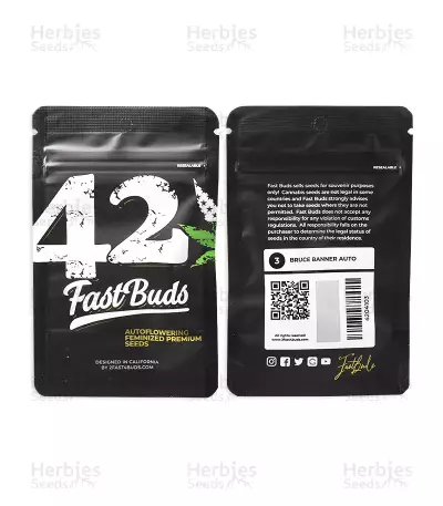 Bruce Banner Auto feminisierte Samen (Fast Buds)