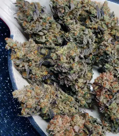 Z (Blackskull Seeds) Cannabis-Samen