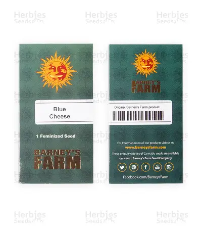 Blue Cheese strain seeds