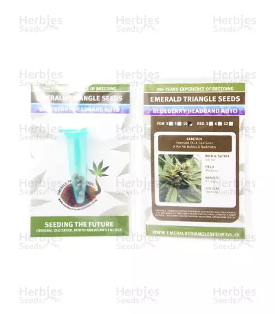 Blueberry Headband Auto (Emerald Triangle Seeds) Cannabis-Samen