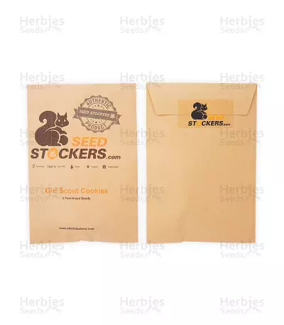 Girl Scout Cookies (Seedstockers) Cannabis-Samen