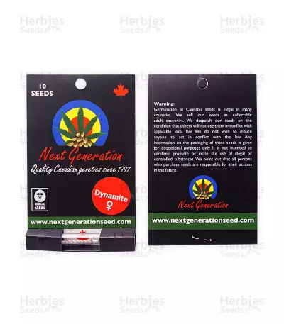 Dynamite (Next Generation Seeds) Cannabis-Samen