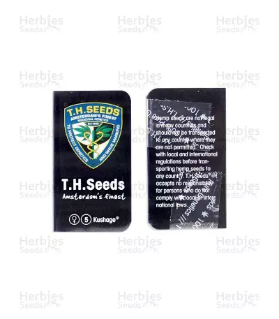 Kushage fem (T.H. Seeds) Cannabis-Samen