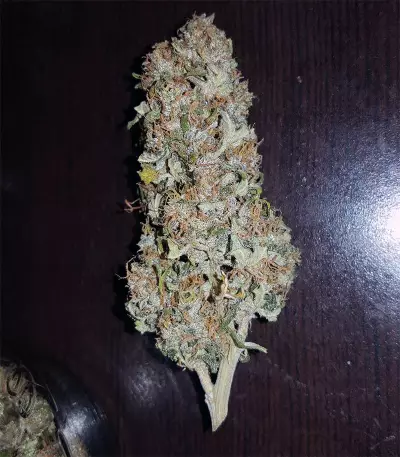 Auto Sweet Soma (00 Seeds) Cannabis-Samen