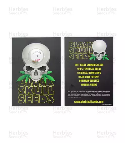Bubble Bud (Blackskull Seeds) Cannabis-Samen