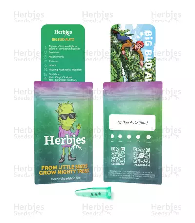Big Bud Auto-Samen (Herbies Seeds)