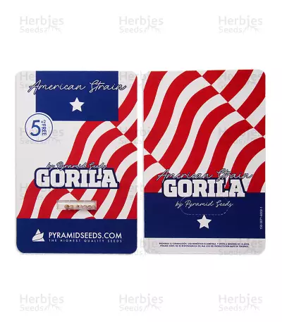 Gorila (Pyramid Seeds) Cannabis-Samen