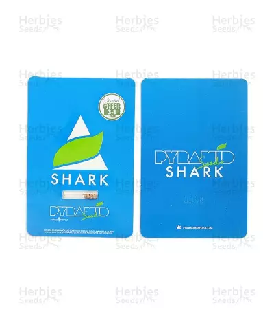 Shark (Pyramid Seeds) Cannabis-Samen