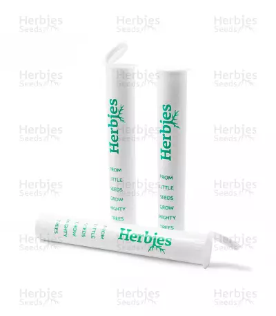 Röhrenbehälter (Herbies)