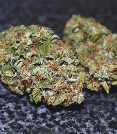 Californian Snow Auto