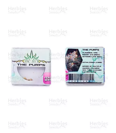 The Purps (BC Bud Depot Seeds) Cannabis-Samen