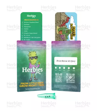Bruce Banner #3 feminisierte Samen (Herbies Seeds)