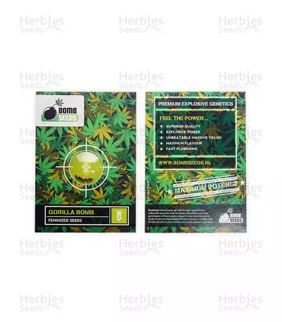 Gorilla Bomb (Bomb Seeds) Cannabis-Samen