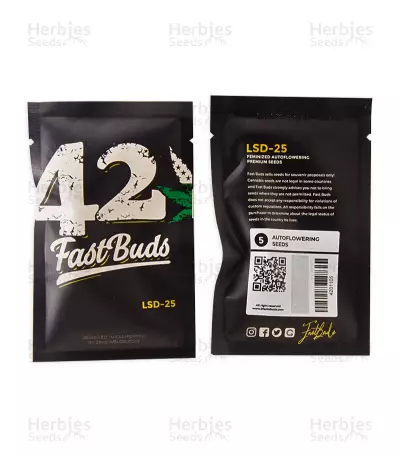 LSD-25 Auto feminisierte Samen