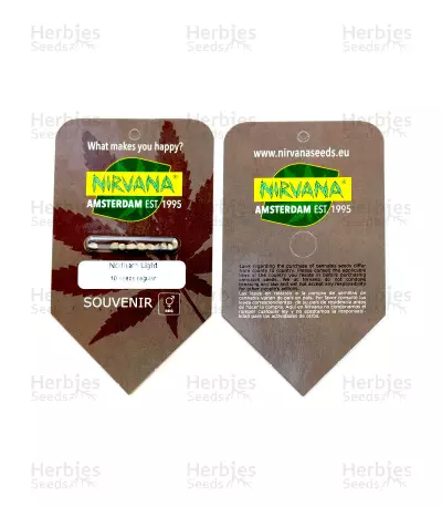 Northern Light regular (Nirvana Seeds) Cannabis-Samen