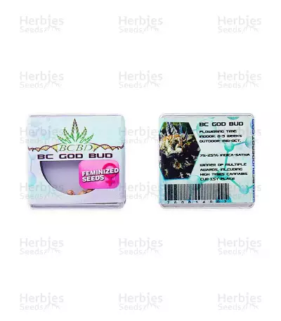 BC God Bud (BC Bud Depot Seeds) Cannabis-Samen