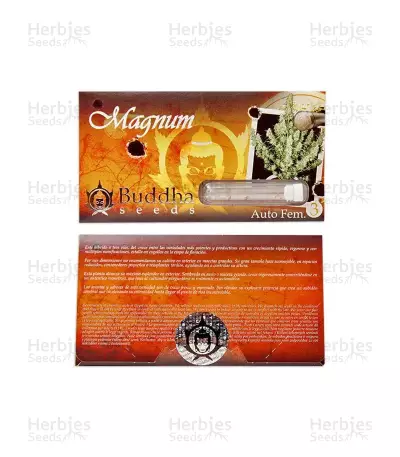 Buddha Magnum Auto (Buddha Seeds) Cannabis-Samen