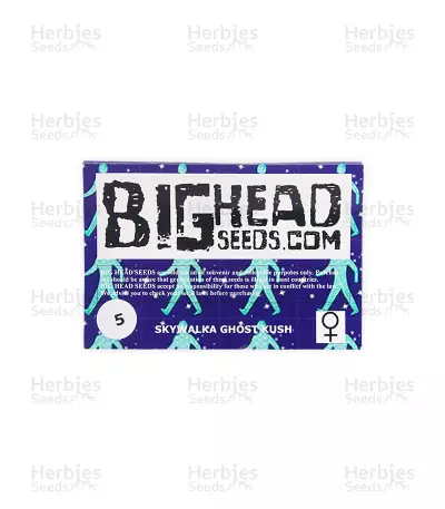 Skywalka Ghost Kush (Big Head Seeds) Cannabis-Samen