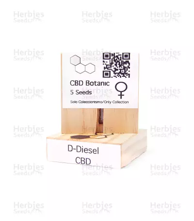 CBD D Diesel (CBD Botanic Seeds) Cannabis-Samen