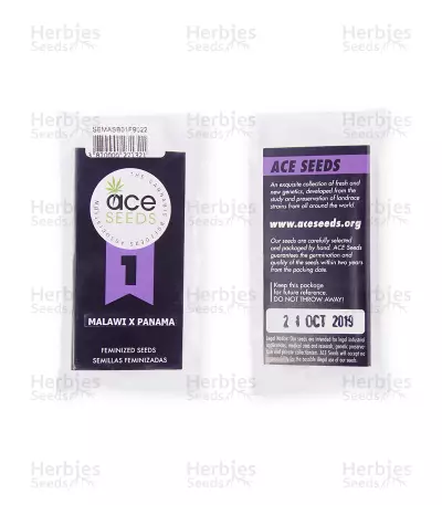 Malawi x Panama (Ace Seeds) Cannabis-Samen