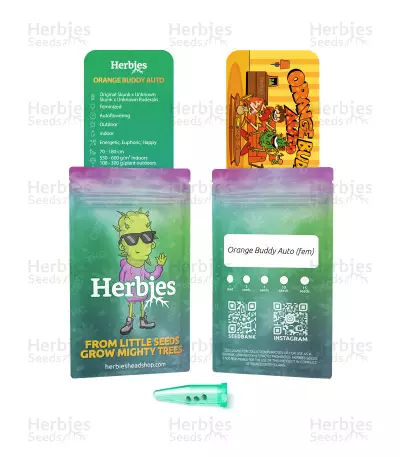Orange Buddy Auto-Samen (Herbies Seeds)