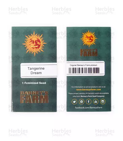 Tangerine Dream (Barney's Farm) Cannabis-Samen