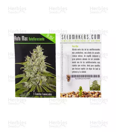 Automax (Seedmakers Seeds) Cannabis-Samen