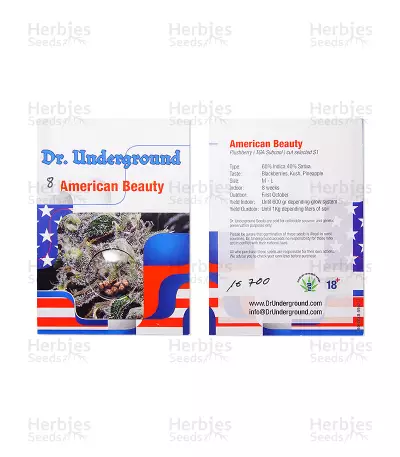 American Beauty (Dr. Underground) Cannabis-Samen