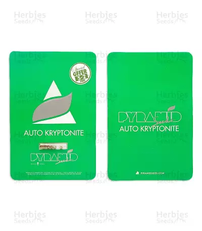 Auto Kryptonite (Pyramid Seeds) Cannabis-Samen