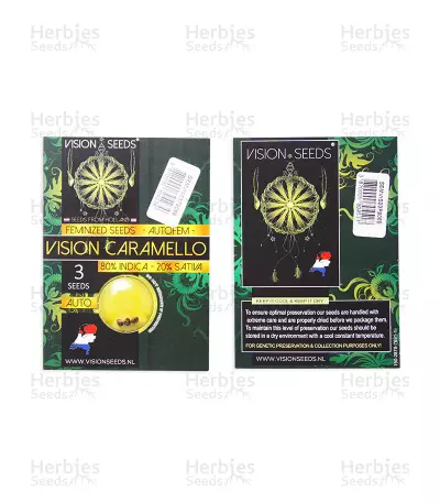Vision Caramello Auto (Vision Seeds) Cannabis-Samen