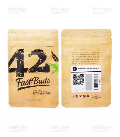 Original Big Bud Auto Samen feminisiert (Fast Buds)