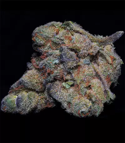 Girl Scout Cookies (Big Head Seeds) Cannabis-Samen