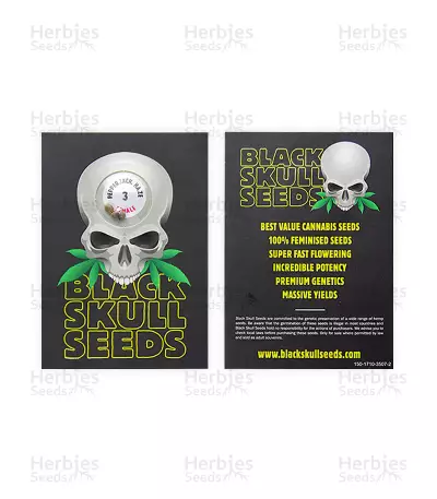Pepper Jack Haze (Blackskull Seeds) Cannabis-Samen