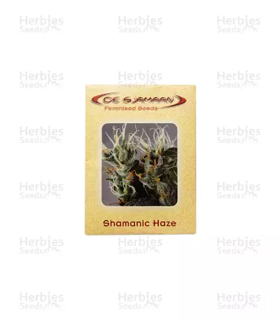Shamanic Haze (De Sjamaan Seeds) Cannabis-Samen