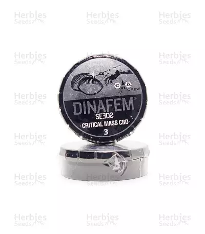 Critical Mass CBD (Dinafem Seeds) Cannabis-Samen