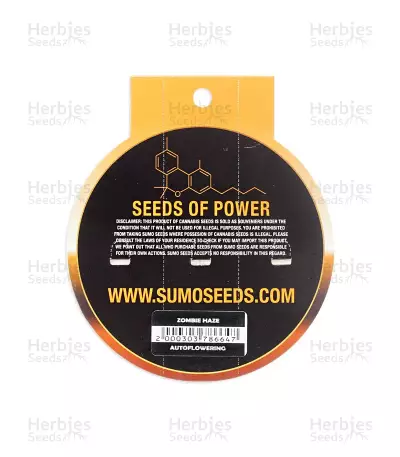 Zombie Haze Auto (Sumo Seeds) Cannabis-Samen
