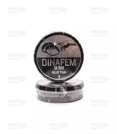 Blue Thai (Dinafem Seeds) Cannabis-Samen