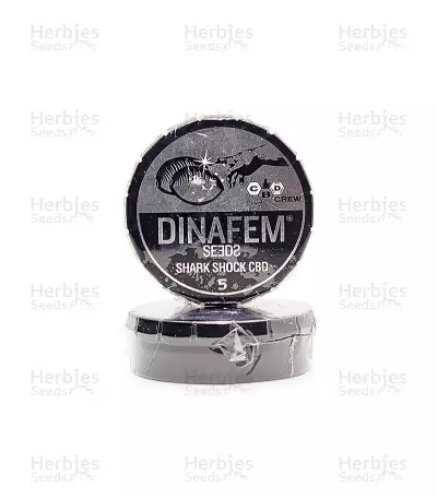 Shark Shock CBD (Dinafem Seeds) Cannabis-Samen