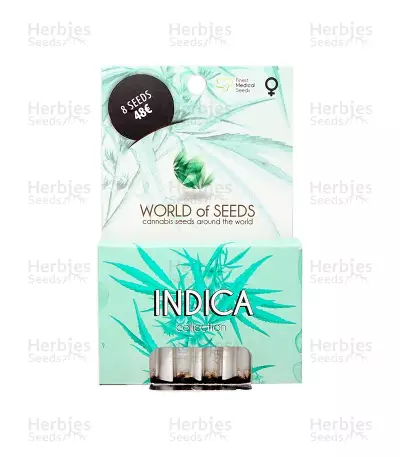 Indica Pure Origin Collection (World of Seeds) Cannabis-Samen