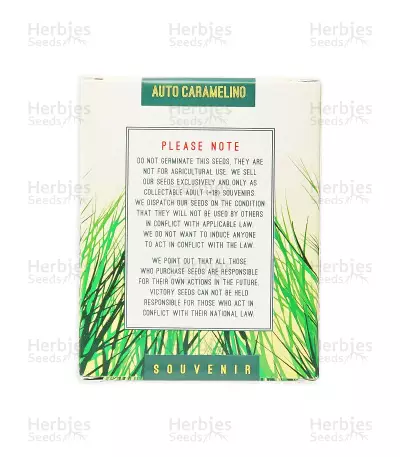 Auto Caramelino (Victory Seeds) Cannabis-Samen